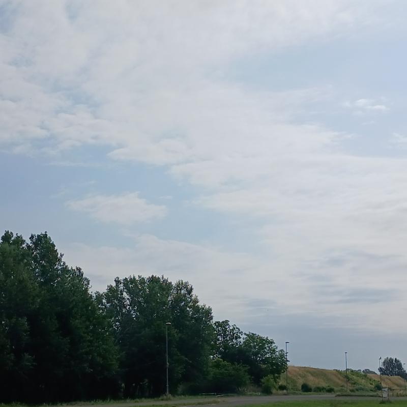 Direi velato non nuvoloso