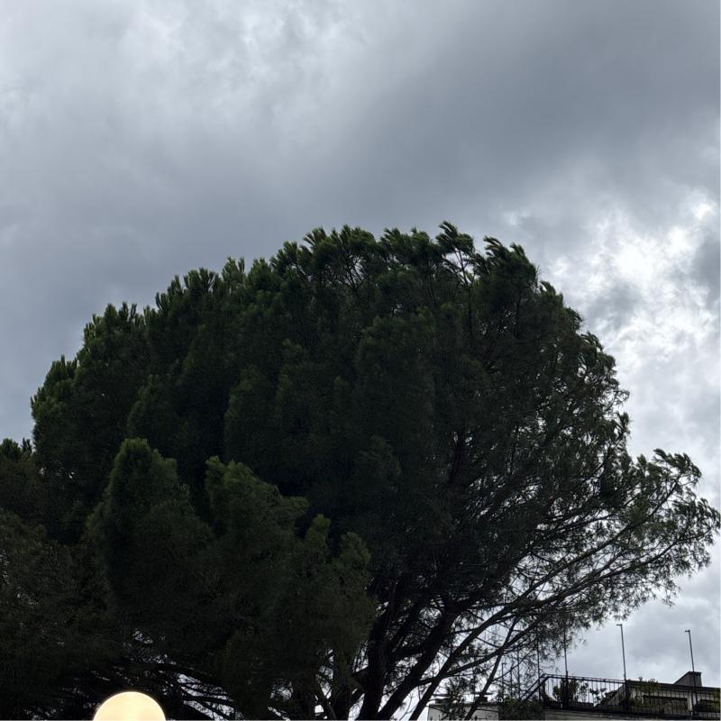 Temporale in corso