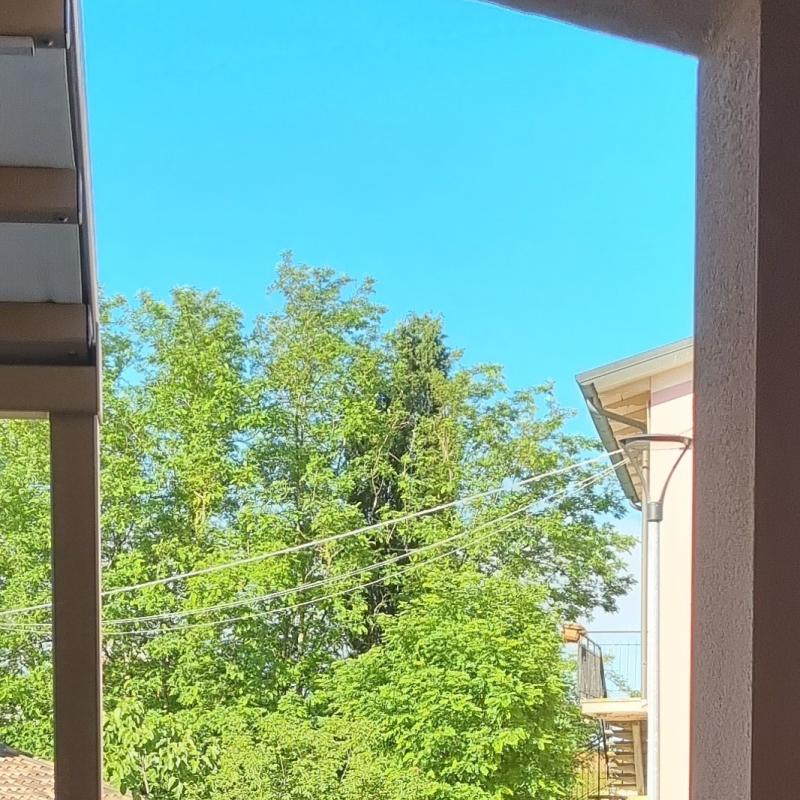 Domenica di sole