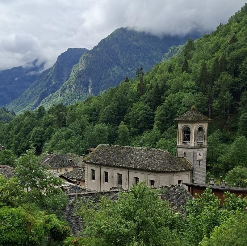 Fotosegnalazione di Mollia