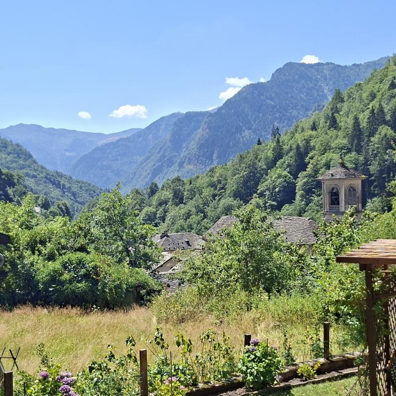 Fotosegnalazione di Mollia