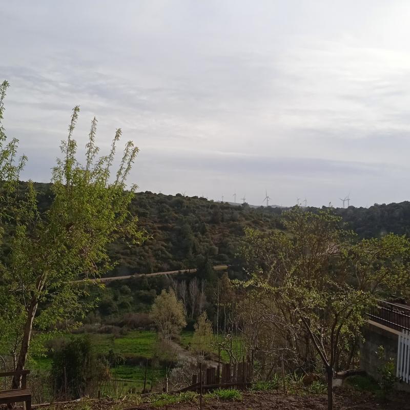 Fotosegnalazione di Perdasdefogu