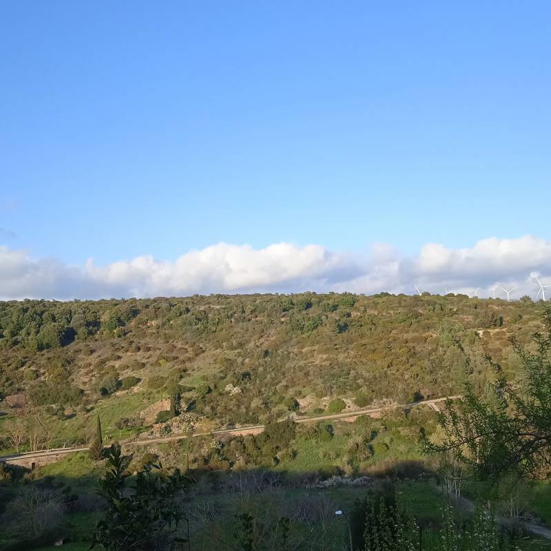 Fotosegnalazione di Perdasdefogu