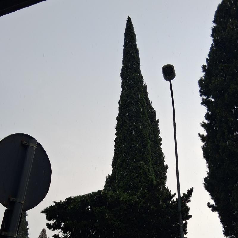 Fotosegnalazione di Frattamaggiore