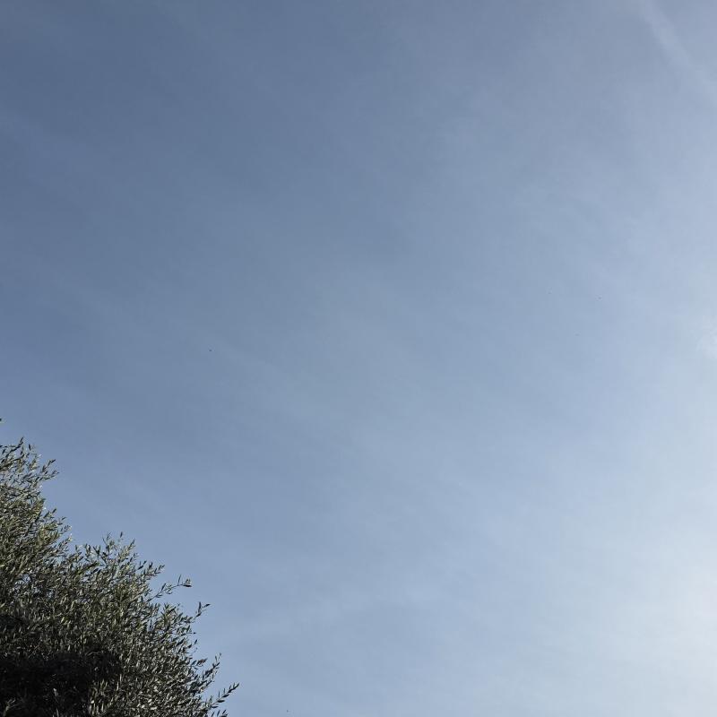 Fotosegnalazione di Povegliano veronese
