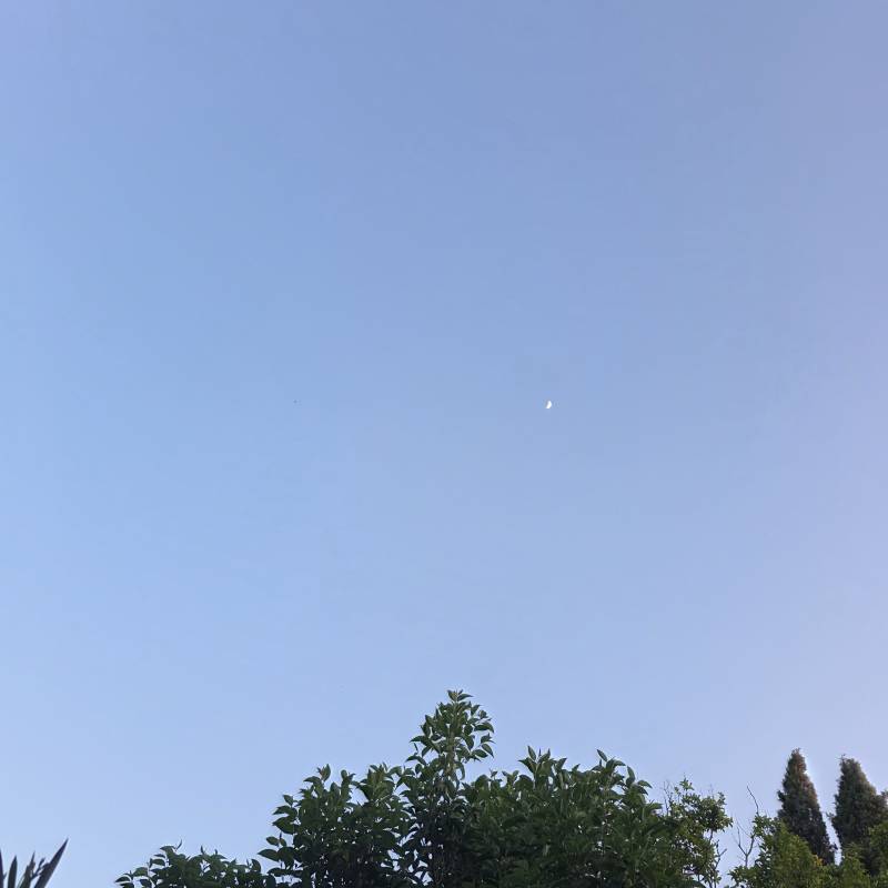 Fotosegnalazione di Povegliano veronese