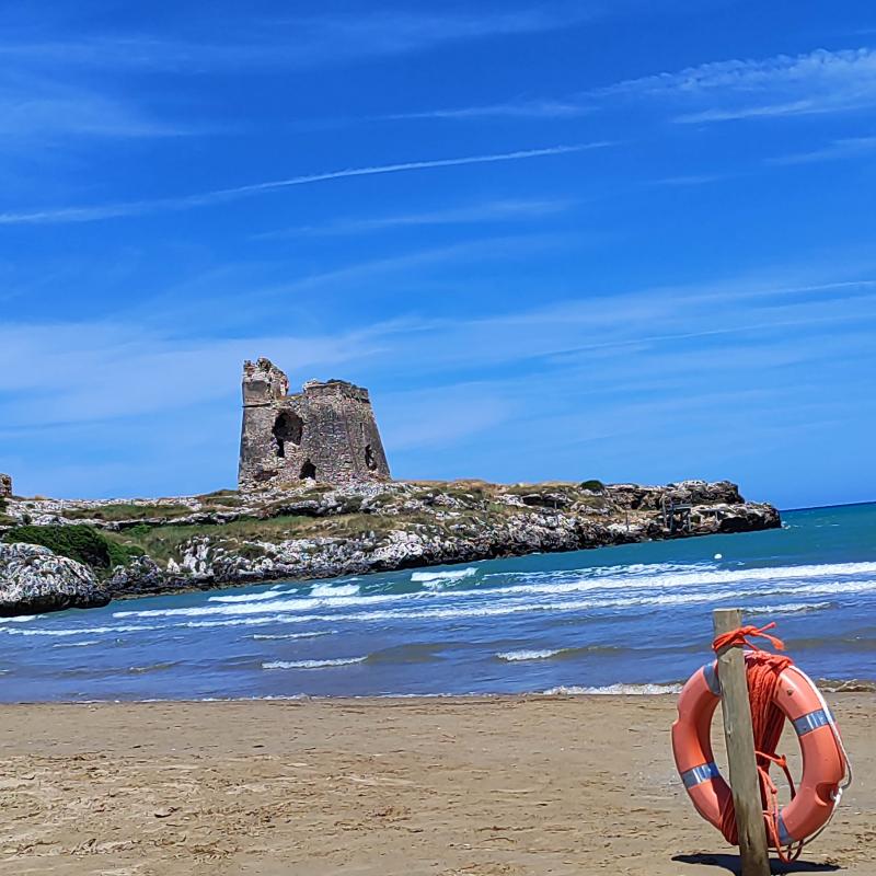 Bellissima giornata con vento abbastanza forte