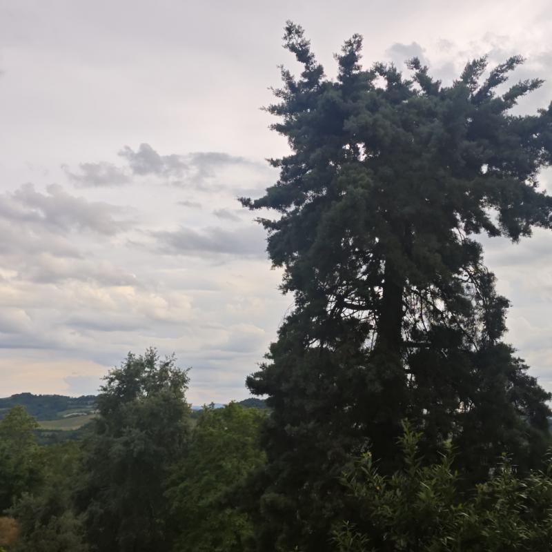 Fotosegnalazione di Monteciccardo