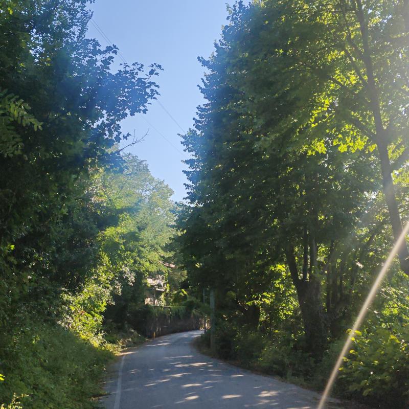Fotosegnalazione di Monteciccardo