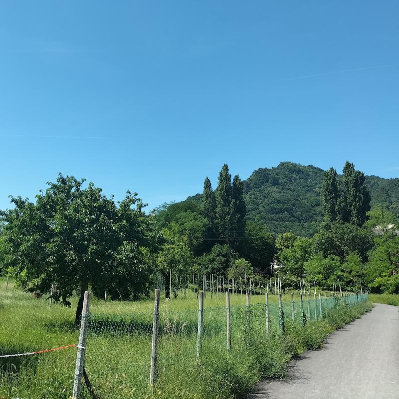 Vittorio veneto - monte altare