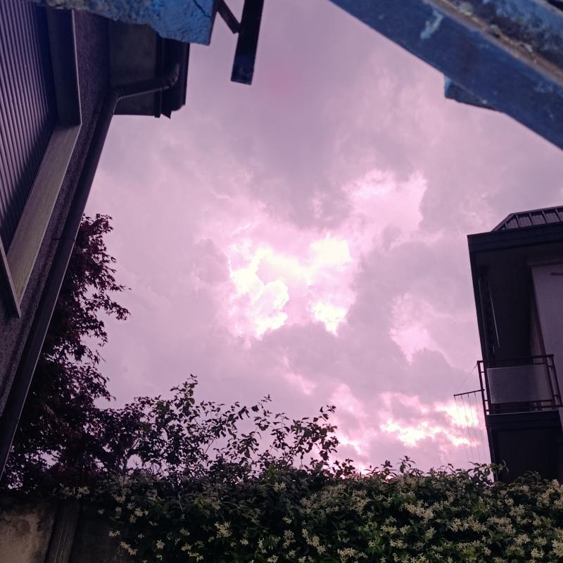 Fotosegnalazione di Cesano maderno