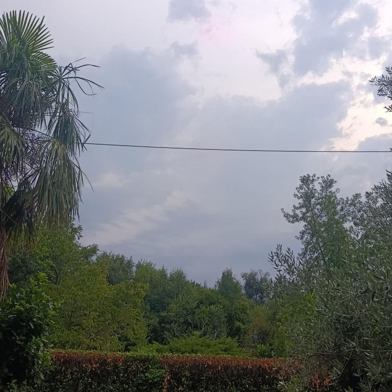 Fotosegnalazione di Seveso