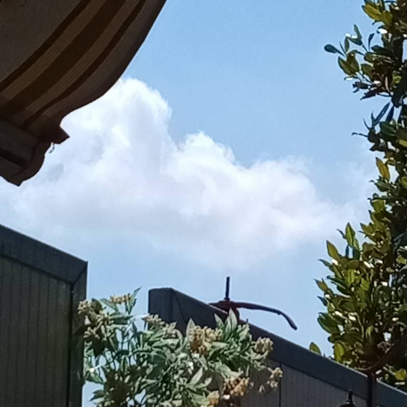 Cielo sereno