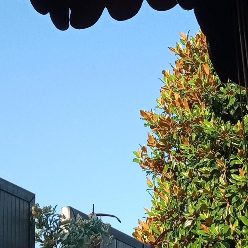 Sereno ventilato.
