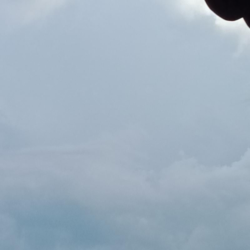 Nuvoloso