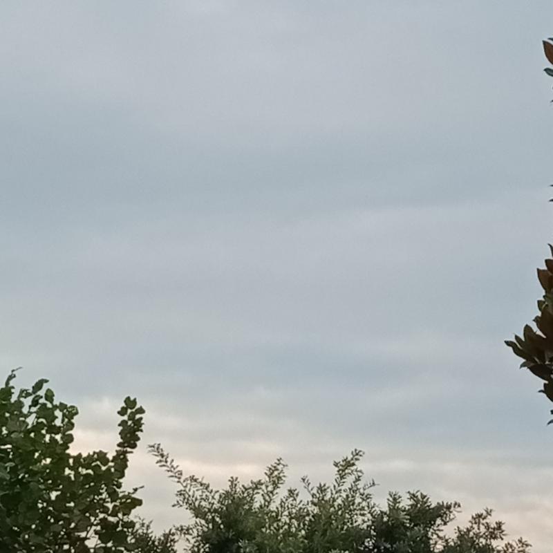 Cielo nuvoloso coperto