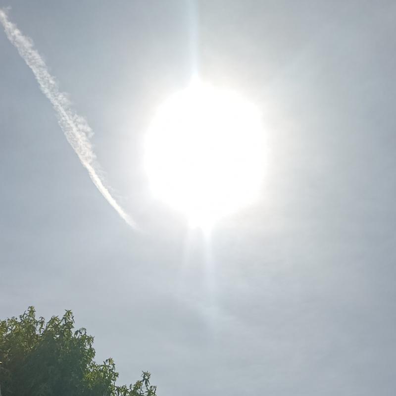 Fotosegnalazione di Bientina