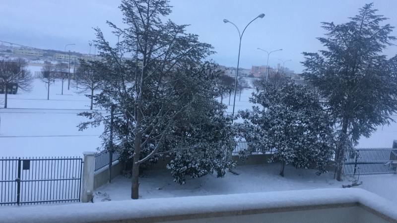 nevicata 8 gennaio 2017