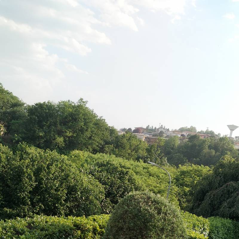 Fotosegnalazione di Rogeno