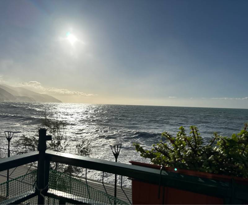 Fotosegnalazione di Monterosso al mare