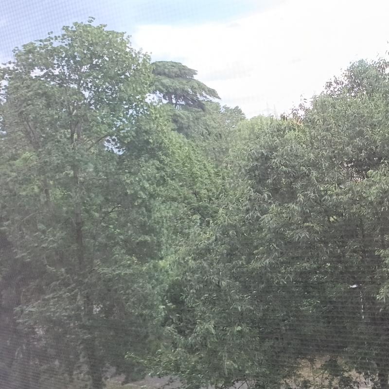 Moltissimo vento