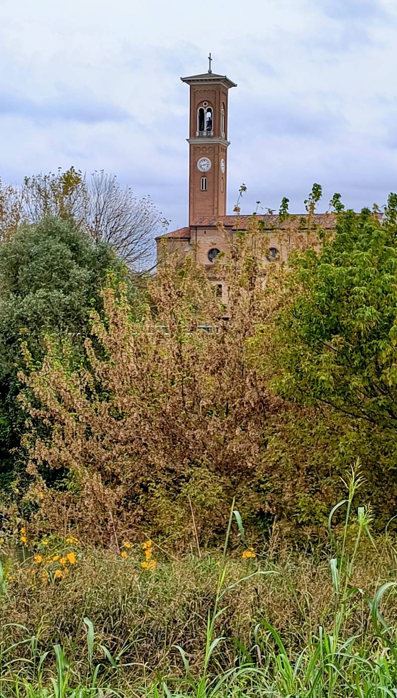 in arrivo un po' di pioggia