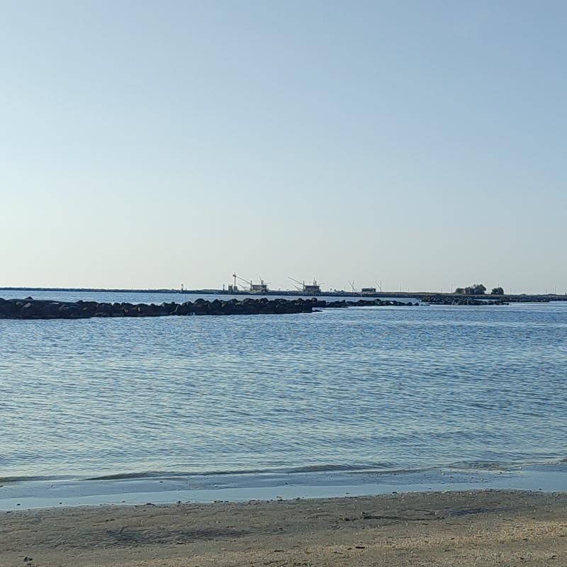Fotosegnalazione di Porto garibaldi