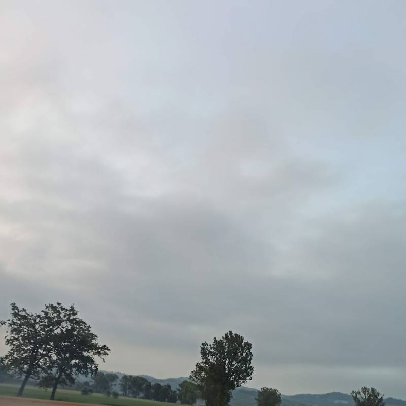 Fotosegnalazione di Broni