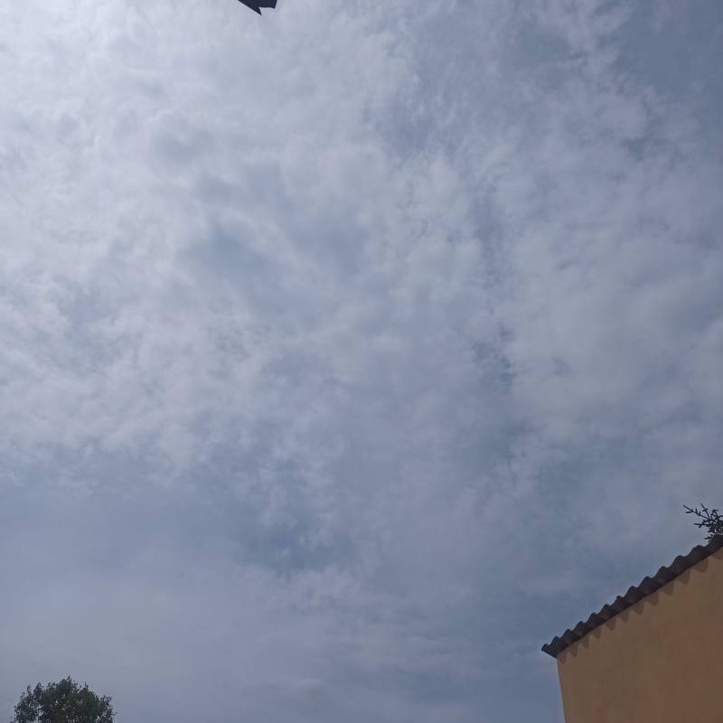 Fotosegnalazione di Pinarolo po