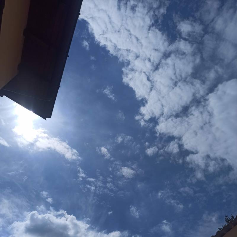 Fotosegnalazione di Pinarolo po