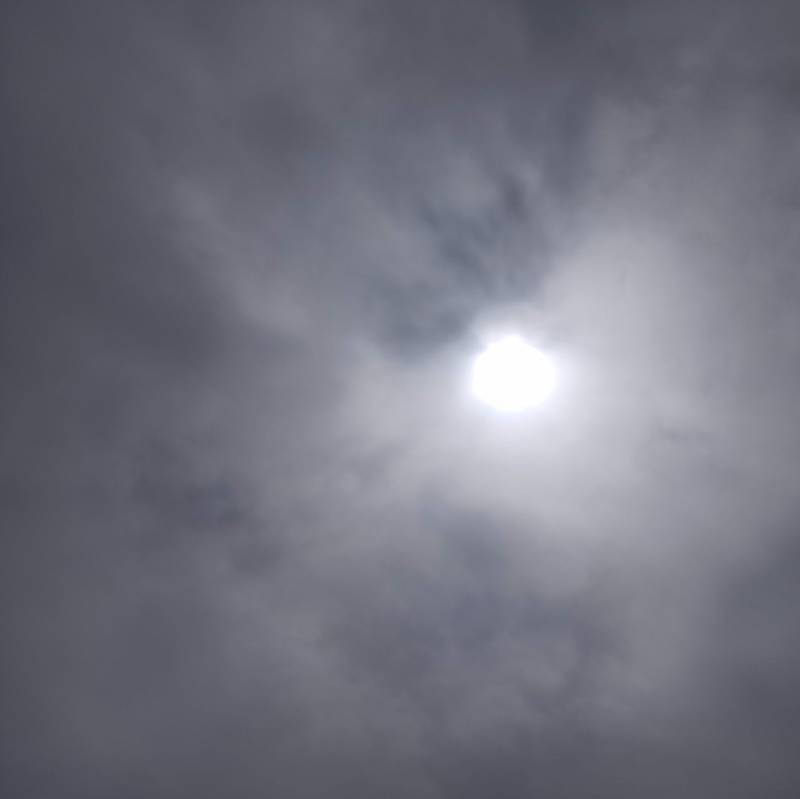 Fotosegnalazione di Pinarolo po