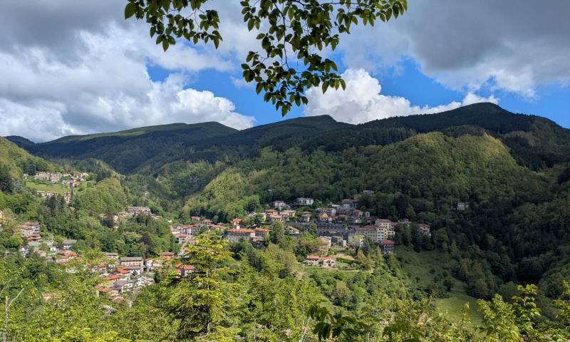 parco nazionale foreste casentinesi