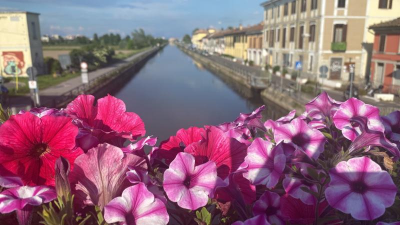 ore 1815 ancora il sole per oggi