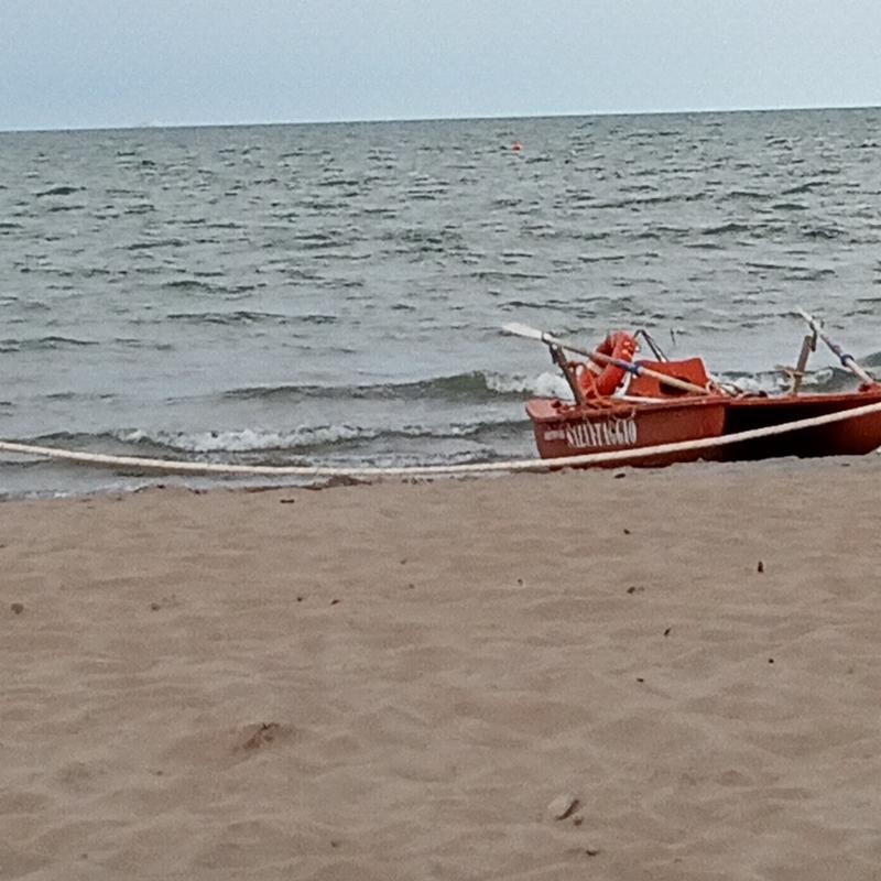 Fotosegnalazione di Rosolina mare