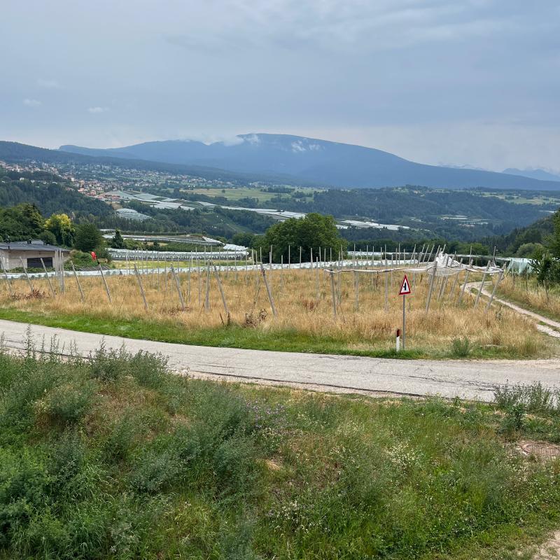 Fotosegnalazione di Castelfondo