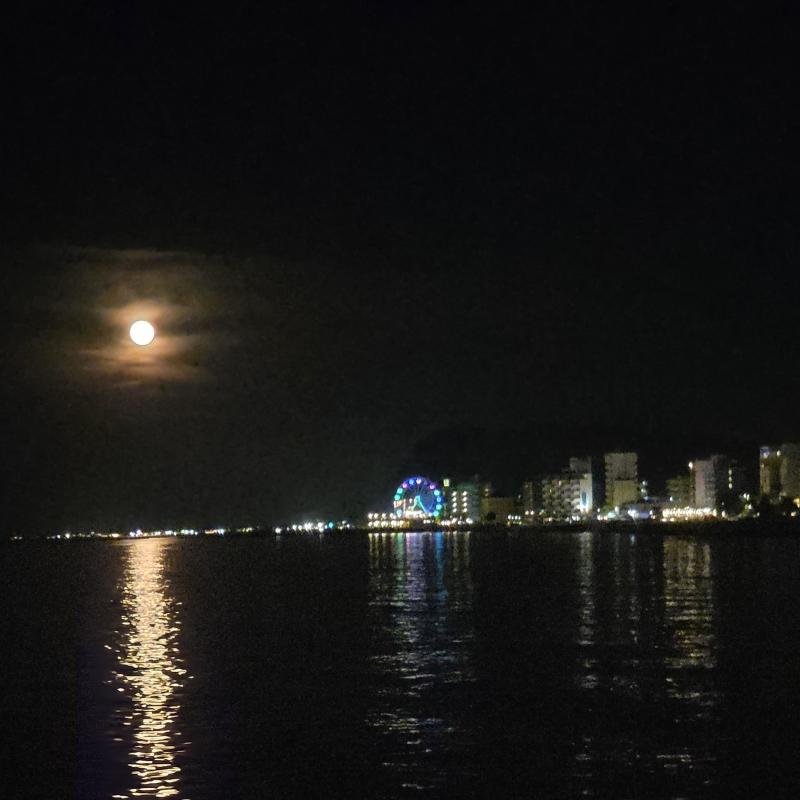 Fotosegnalazione di Pesaro centro urbano