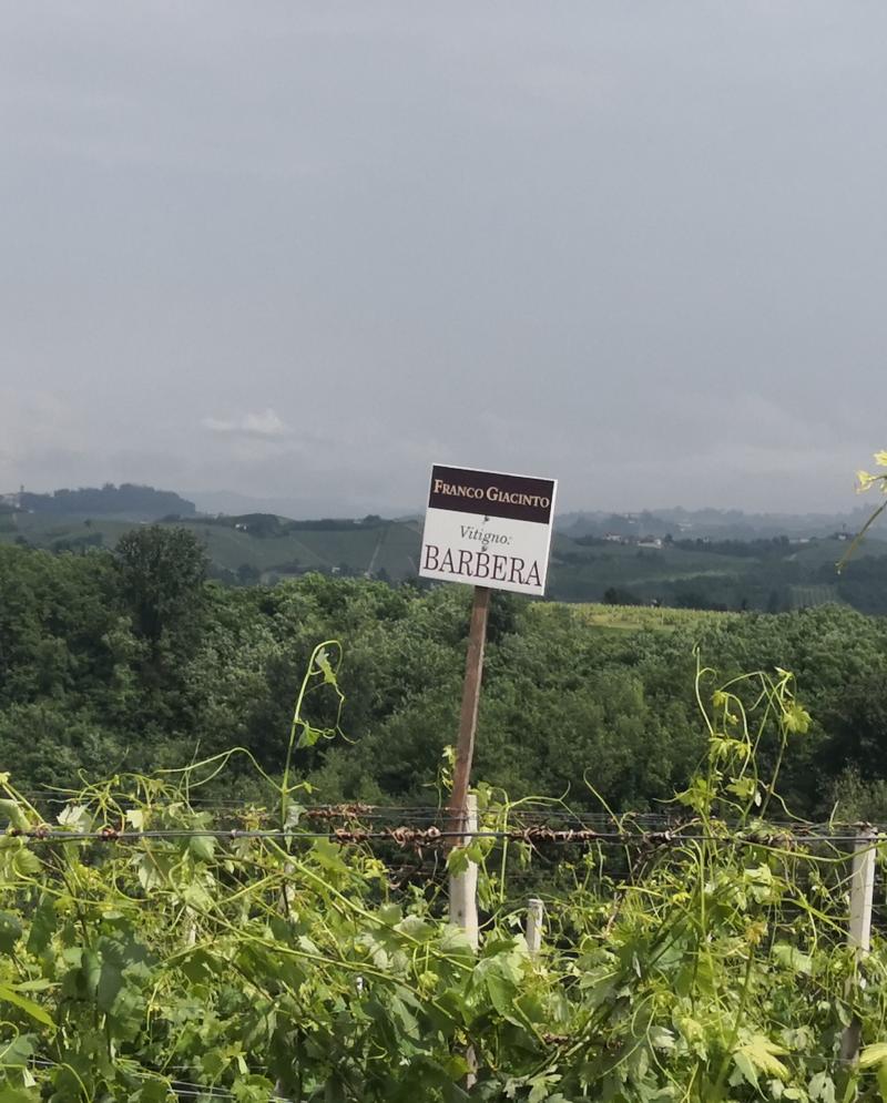 agriturismo ca' colomba