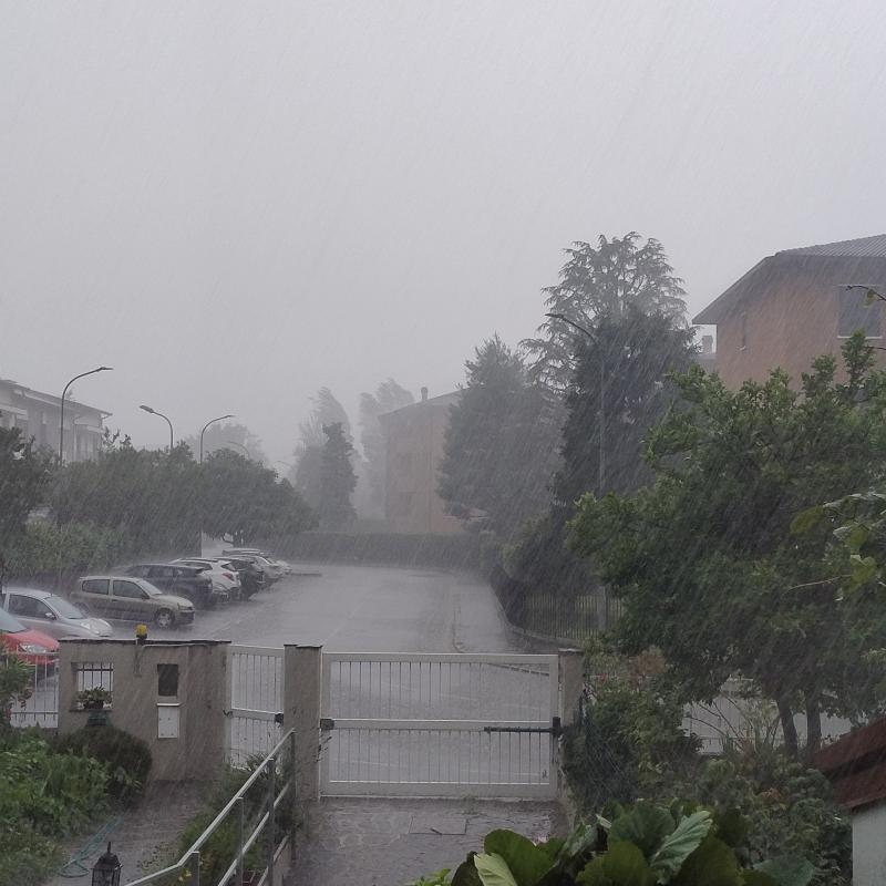 Fotosegnalazione di Peregallo