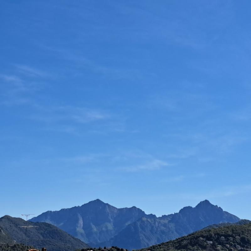 Fotosegnalazione di Erba