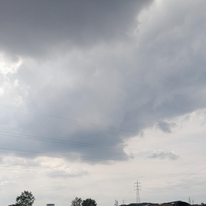 Fotosegnalazione di Padova