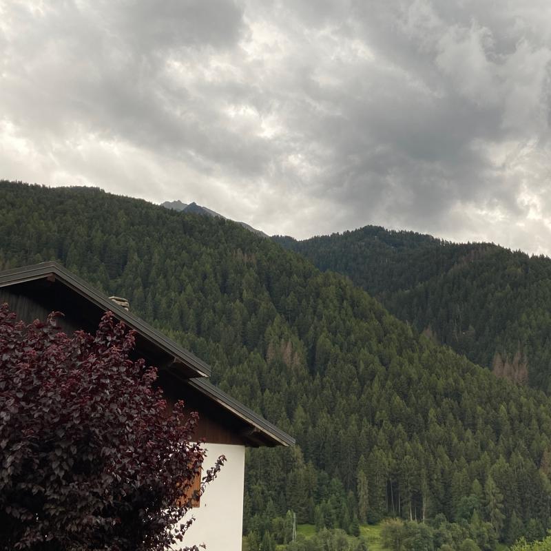 Fotosegnalazione di Temu'