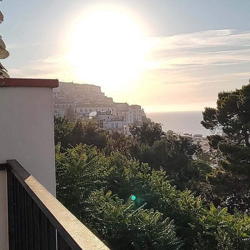 Fotosegnalazione di Rodi garganico