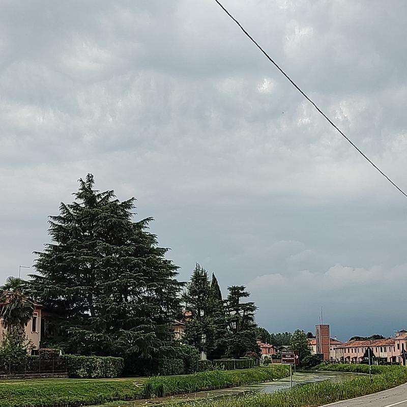 Fotosegnalazione di Mira