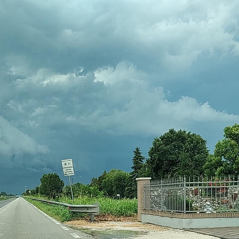 Fotosegnalazione di Mira