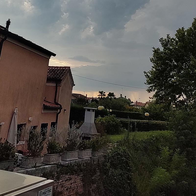 Fotosegnalazione di Mira