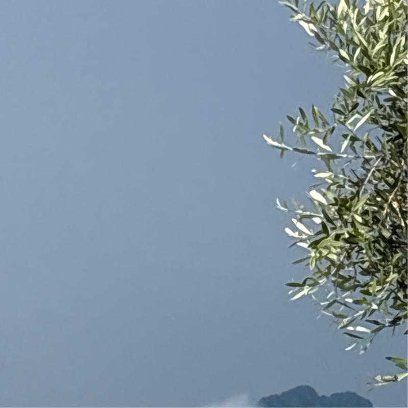Fotosegnalazione di Belvedere marittimo