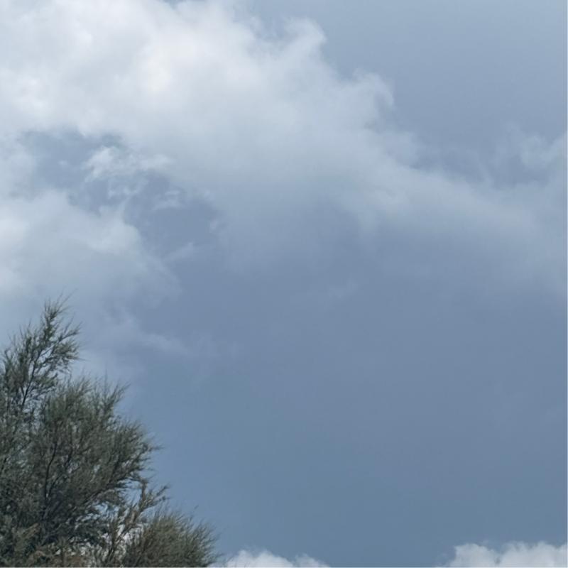 Fotosegnalazione di Belvedere marittimo