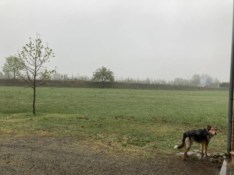 Fotosegnalazione di San secondo di pinerolo