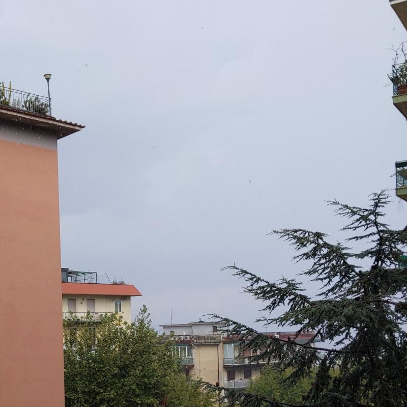 Temporale