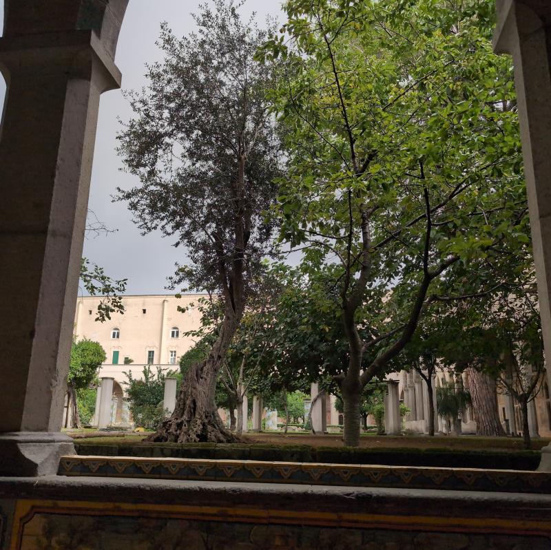 Fotosegnalazione di Napoli san giuseppe
